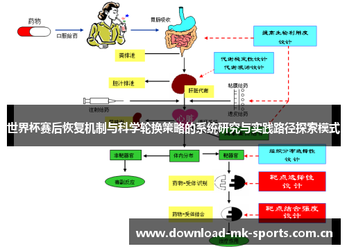 世界杯赛后恢复机制与科学轮换策略的系统研究与实践路径探索模式 世界杯赛后恢复机制与科学轮换策略的系统研究与实践路径探索模式